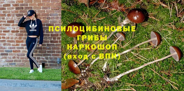 не бодяженный Верея