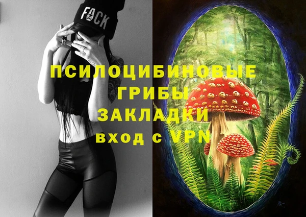 ALPHA PVP Верхний Тагил