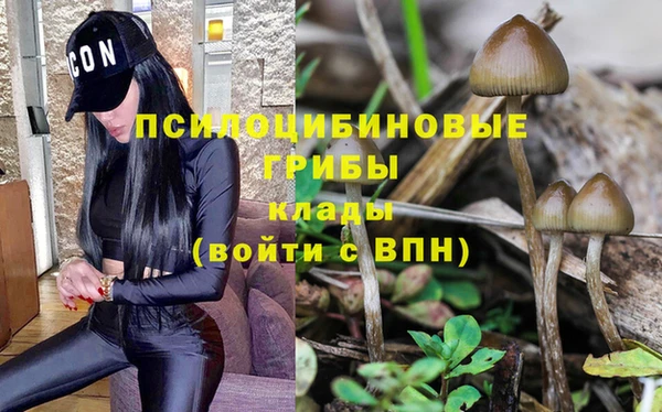ALPHA PVP Верхний Тагил
