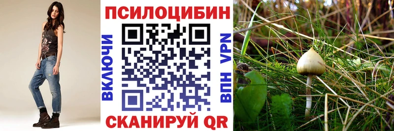 Псилоцибиновые грибы Psilocybine cubensis  Купить закладки  Лодейное Поле 